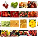 각종 과일들의 효능 이미지