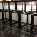 장 동물병원 이미지