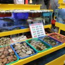 대성수족관 이미지