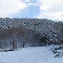 다운목장 이미지