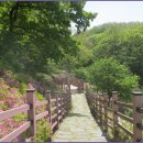 모락산 둘레길 이미지