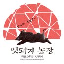⭐️ 산수도인 11월 11일 별자리 운세 ⭐️ 이미지