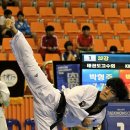 정선태권도체육관 이미지