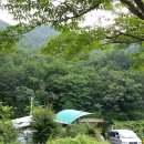 미자농장 이미지