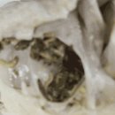 하림통닭 이미지