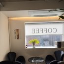 패피 - 25428 | 신논현 카페 아란로빈, 패피 추천 강남역 대형카페 평일 후기