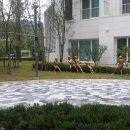미림파크 - 춘천시 옥산포길 39-3 | 미림파크