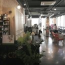살롱블롱디캣츠 네이버블로그