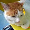 대인병원 이미지