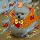 미호유치원 이미지