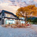 젤코바480 이미지