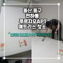 양동진동물병원(출장전문) | 울산매트리스청소 전문업체 에코클린 침대세탁