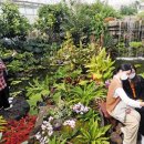 금강보행교 10 이미지