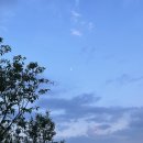 배때기네하우스 | 영주 배때기네하우스 / 영주 숙소 추천 / 영주 펜션 / 영주 숙소 배때기네하우스 후기