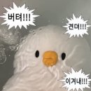 울산 타투 제거 후기 / 단색, 컬러타투 제거 2회차 (진행중, 정보공유)