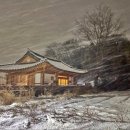 스테이구들 이미지