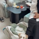 청구역(6) 화장실 | 인테리어 / 신당동 한정 ! 떡볶이 쿠키가 매력적인 신상 카페 이에즈 / 내돈내산 방문후기 𑁥౿ ⊹ ‧₊˚
