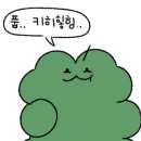 남일물회 이미지
