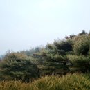 (주)오이코스