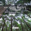 성주산자연휴양림 이미지