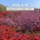 완산도서관 화장실 | [전주 완산꽃동산] 2026년 4월 15일 오후 개화 상황ㅣ겹벚꽃 명소ㅣ주차ㅣ화장실ㅣ오르막길•계단 있음