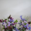 2026년 2월 3주 성전 꽃꽂이 - Showy Flora 블로그에서 이미지