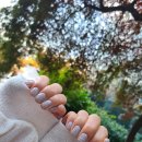 은하수별다방 | 범계 네일아트 네일나빛 자석 바코드네일 후기