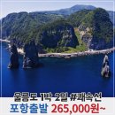퍼스트여행사 이미지