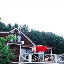 씨웰빙하우스 이미지