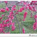 월출농장 이미지