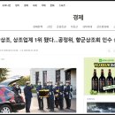 보람상조애니콜 이미지
