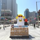 삶 | 지금 해운대 가야하는 이유⛱️ 2026 해운대모래축제 후기