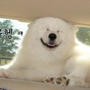 부자통신 이미지