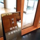 그남자네마카롱