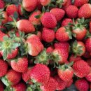 킴스베리 이미지