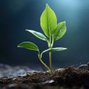 산청군농협본점하나로마트 이미지