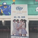 1901 | 260329 인천 개항장 페스타 1901 라이브로드 후기