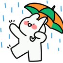 워시게러지 이미지