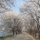고내천변로 이미지