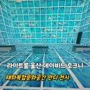 라이트룸 울산 데이비드 호크니 전시 태화복합문화공간 만디 전시회 추천