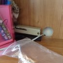 수완종합 동물병원 이미지