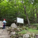 석굴암주차장 | 경주 석굴암 가는길 주차장 주차요금 타종 체험 후기