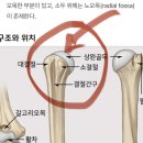 라파필라테스 - 동대문구 서울시립대로 116 | 라파필라테스