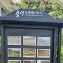 용인농촌테마파크 숲속도서관 이미지