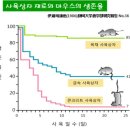 아이들우드