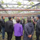 성산일출봉농업협동조합 농산물산지유통센터 이미지