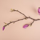 뷰티화장품 이미지