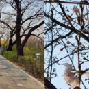개화 - 서구 달구벌대로337길 5 | 개화