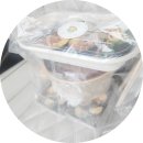 꼬마김밥&수제돈가스콩마니 | 인천 송도 키토김밥 곤약김밥 다이어트 요리 '마싯곤약'