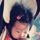 씨피스튜디오 이미지